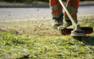 Najbolji aku trimeri - Preporuke.hr