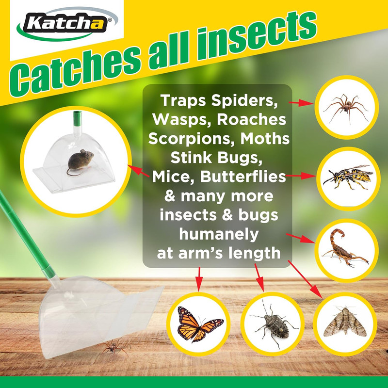 The Big Bug Katcha