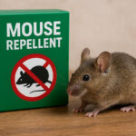 Najbolje sredstvo protiv miševa – Top 5 proizvoda